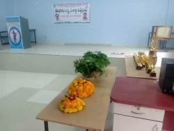 Telangana-Rashtra-Avatarana-Dashabdi-Utsavalu-(2)