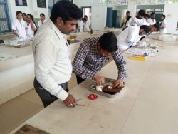 HAND-ON-TRAINING-ON-LABORATORY-ANIMALS-HANDLING-BLOOD-WITHDRAWAL-TECHNIQUES(1)
