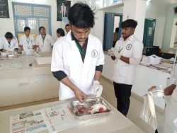 HAND-ON-TRAINING-ON-LABORATORY-ANIMALS-HANDLING-BLOOD-WITHDRAWAL-TECHNIQUES(10)