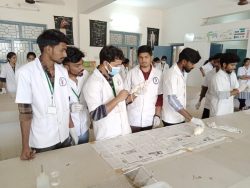 HAND-ON-TRAINING-ON-LABORATORY-ANIMALS-HANDLING-BLOOD-WITHDRAWAL-TECHNIQUES(13)