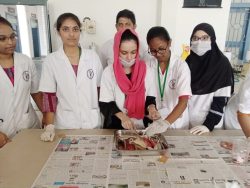 HAND-ON-TRAINING-ON-LABORATORY-ANIMALS-HANDLING-BLOOD-WITHDRAWAL-TECHNIQUES(4)