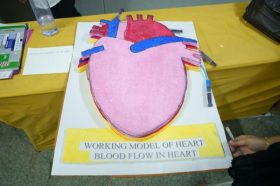 Annamacharya-University-Annual-Day-Stalls-Exhibition-new(36)